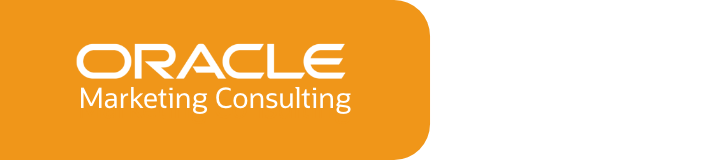 Oracle Marketing Consulting: Special Issue 105